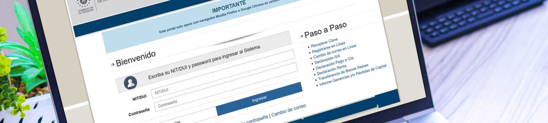 slide 1 /wp-content/uploads/2024/11/2-SERVICIOS-EN-LINEA-v2-scaled-e1731075514397.jpg